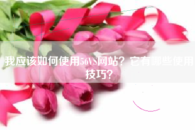 我应该如何使用56VS网站？它有哪些使用技巧？