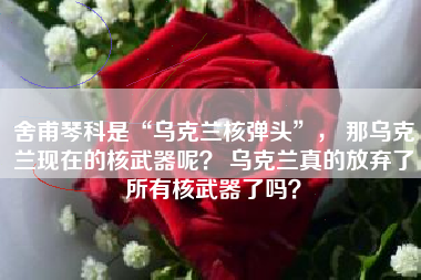 舍甫琴科是“乌克兰核弹头”， 那乌克兰现在的核武器呢？ 乌克兰真的放弃了所有核武器了吗？