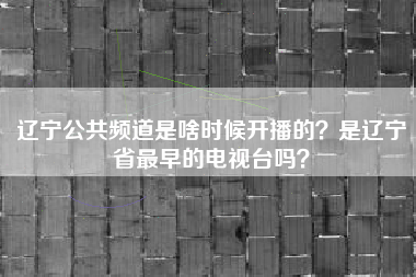 辽宁公共频道是啥时候开播的？是辽宁省最早的电视台吗？