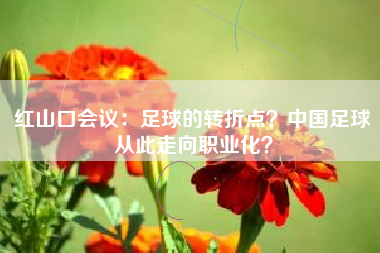红山口会议：足球的转折点？中国足球从此走向职业化？