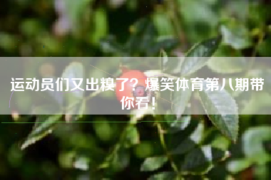 运动员们又出糗了？爆笑体育第八期带你看！