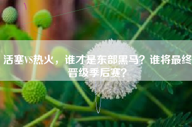活塞VS热火，谁才是东部黑马？谁将最终晋级季后赛？