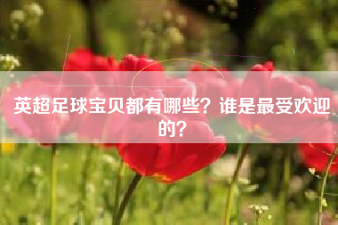 英超足球宝贝都有哪些？谁是最受欢迎的？