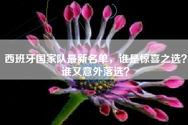西班牙国家队最新名单，谁是惊喜之选？谁又意外落选？