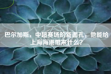 巴尔加斯，中超赛场的新面孔，他能给上海海港带来什么？