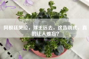 阿根廷哭泣，球王远去，这告别式，真的让人难忘？