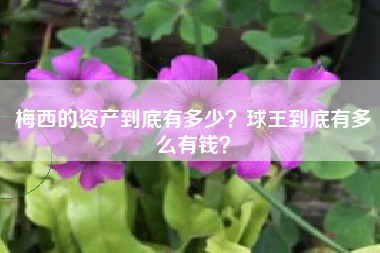梅西的资产到底有多少？球王到底有多么有钱？