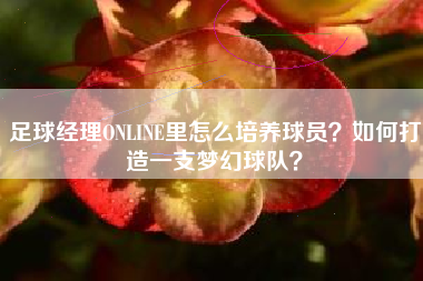 足球经理ONLINE里怎么培养球员？如何打造一支梦幻球队？