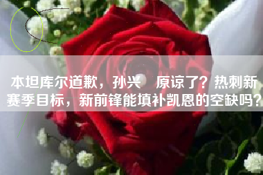 本坦库尔道歉，孙兴慜原谅了？热刺新赛季目标，新前锋能填补凯恩的空缺吗？