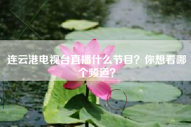 连云港电视台直播什么节目？你想看哪个频道？