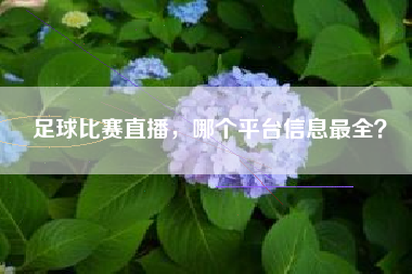 足球比赛直播，哪个平台信息最全？