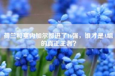 荷兰和塞内加尔都进了16强，谁才是A组的真正王者？