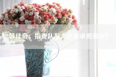 韩佳奇：指责队友，还是承担责任？