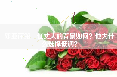 邓亚萍第二任丈夫的背景如何？他为什么选择低调？