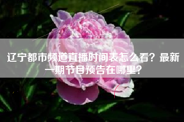 辽宁都市频道直播时间表怎么看？最新一期节目预告在哪里？