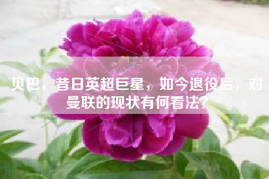 贝巴，昔日英超巨星，如今退役后，对曼联的现状有何看法？