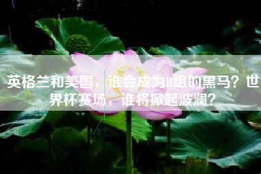 英格兰和美国，谁会成为B组的黑马？世界杯赛场，谁将掀起波澜？