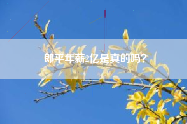 郎平年薪2亿是真的吗？