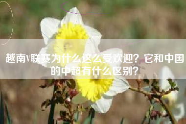 越南V联赛为什么这么受欢迎？它和中国的中超有什么区别？