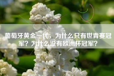 葡萄牙黄金一代，为什么只有世青赛冠军？为什么没有欧洲杯冠军？
