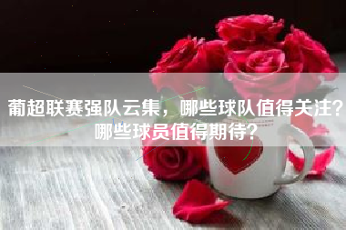 葡超联赛强队云集，哪些球队值得关注？哪些球员值得期待？