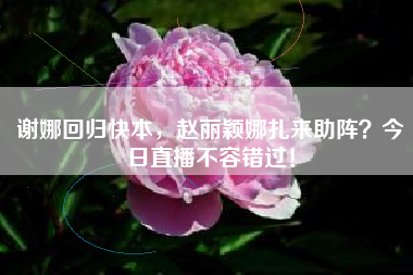 谢娜回归快本，赵丽颖娜扎来助阵？今日直播不容错过！