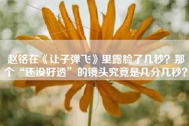 赵铭在《让子弹飞》里露脸了几秒？那个“还没好透”的镜头究竟是几分几秒？