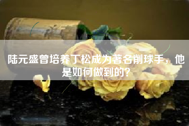 陆元盛曾培养丁松成为著名削球手，他是如何做到的？