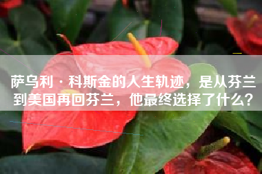 萨乌利·科斯金的人生轨迹，是从芬兰到美国再回芬兰，他最终选择了什么？