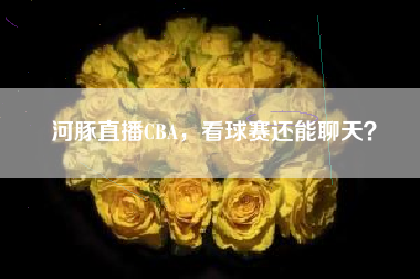 河豚直播CBA，看球赛还能聊天？