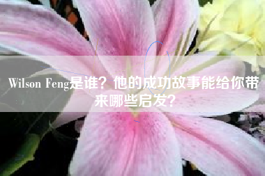 Wilson Feng是谁？他的成功故事能给你带来哪些启发？