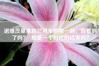 诺维茨基拿到总冠军的那一刻，你看到了吗？  那是一个时代的结束吗？