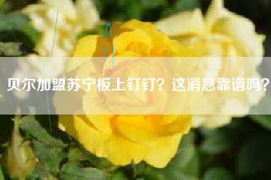 贝尔加盟苏宁板上钉钉？这消息靠谱吗？