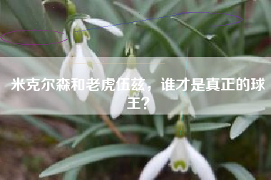 米克尔森和老虎伍兹，谁才是真正的球王？