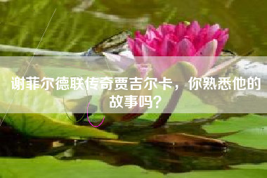 谢菲尔德联传奇贾吉尔卡，你熟悉他的故事吗？