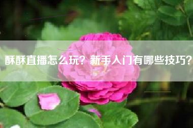 酥酥直播怎么玩？新手入门有哪些技巧？