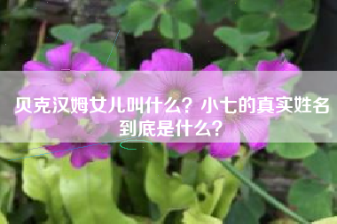 贝克汉姆女儿叫什么？小七的真实姓名到底是什么？