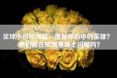 足球小将欧洲篇，谁是你心中的英雄？  他们能在欧洲赛场上闪耀吗？
