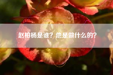 赵柏杨是谁？他是做什么的？