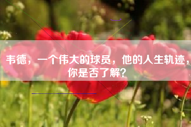 韦德，一个伟大的球员，他的人生轨迹，你是否了解？