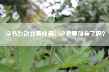 字节跳动教育业务，这是要放弃了吗？