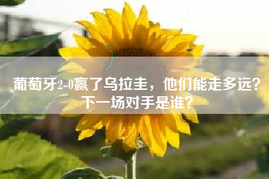 葡萄牙2-0赢了乌拉圭，他们能走多远？下一场对手是谁？