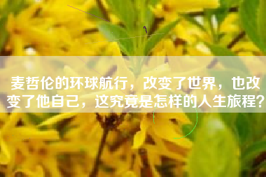 麦哲伦的环球航行，改变了世界，也改变了他自己，这究竟是怎样的人生旅程？