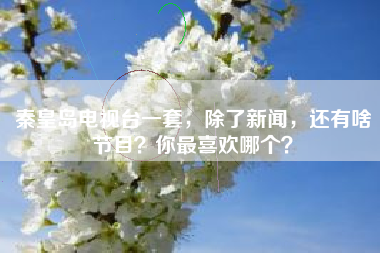 秦皇岛电视台一套，除了新闻，还有啥节目？你最喜欢哪个？