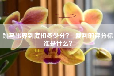 跳马出界到底扣多少分？  裁判的评分标准是什么？