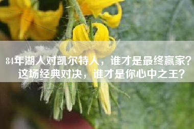 84年湖人对凯尔特人，谁才是最终赢家？  这场经典对决，谁才是你心中之王？