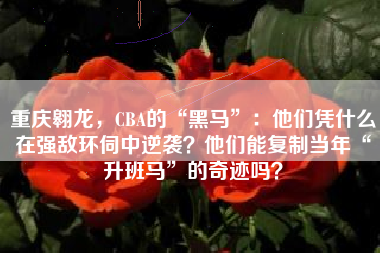 重庆翱龙，CBA的“黑马”：他们凭什么在强敌环伺中逆袭？他们能复制当年“升班马”的奇迹吗？