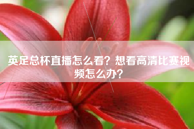 英足总杯直播怎么看？想看高清比赛视频怎么办？