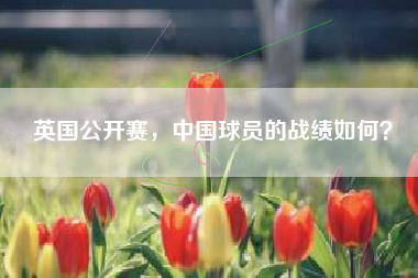英国公开赛，中国球员的战绩如何？