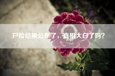 尸检结果公布了，真相大白了吗？